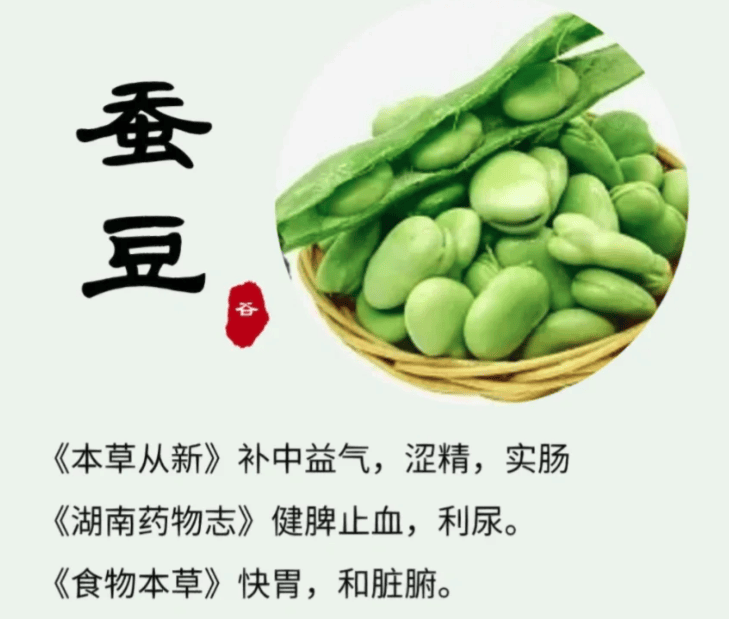 春日烹饪秘籍:新鲜蚕豆如何变身美食