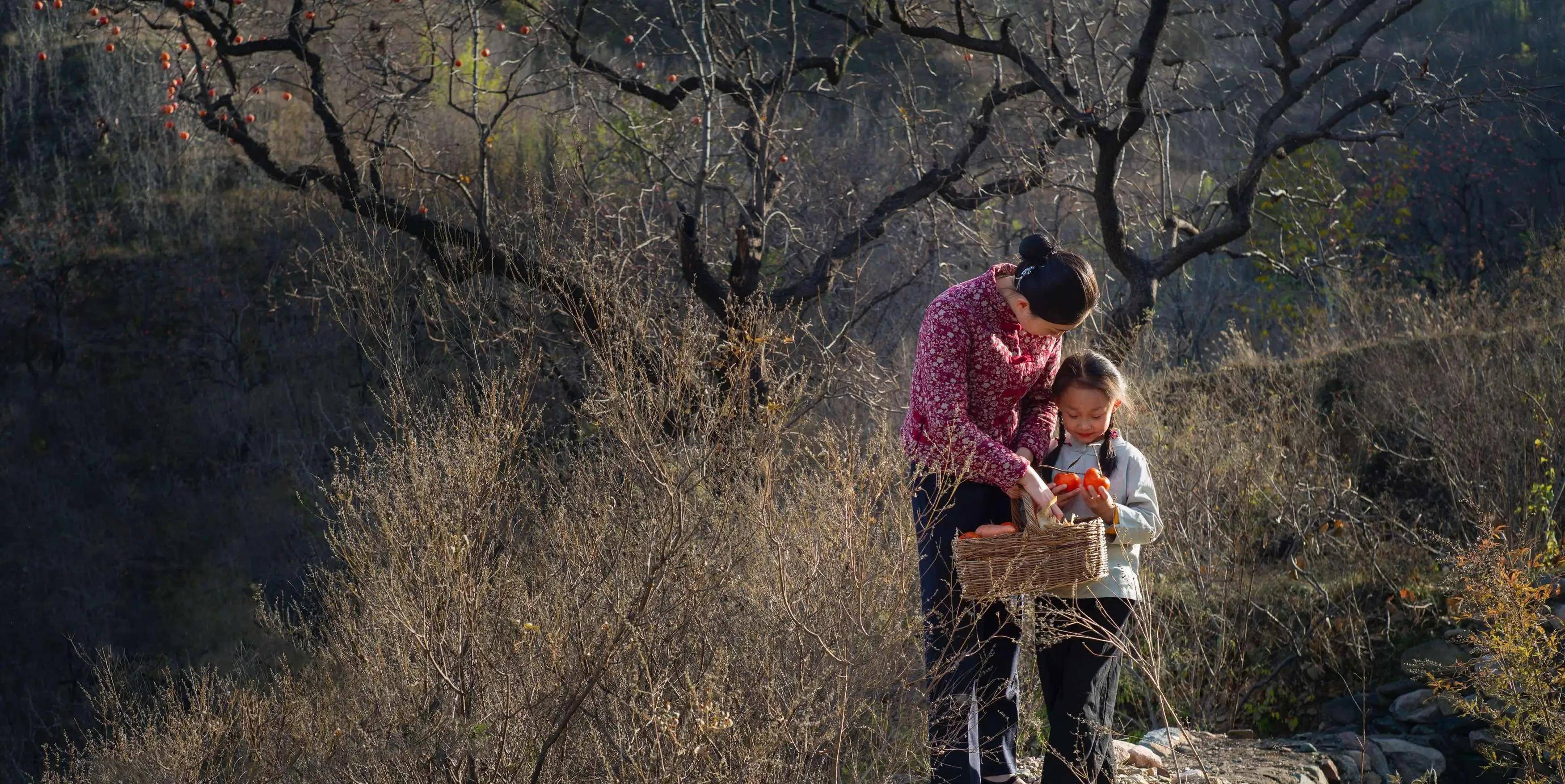 赵文杰回到北京,在上大学期间认识了比他小二岁的王丽娟,大学毕业后两