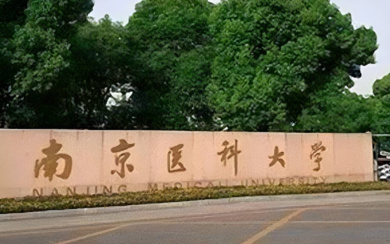 南京医科大学校门图片图片