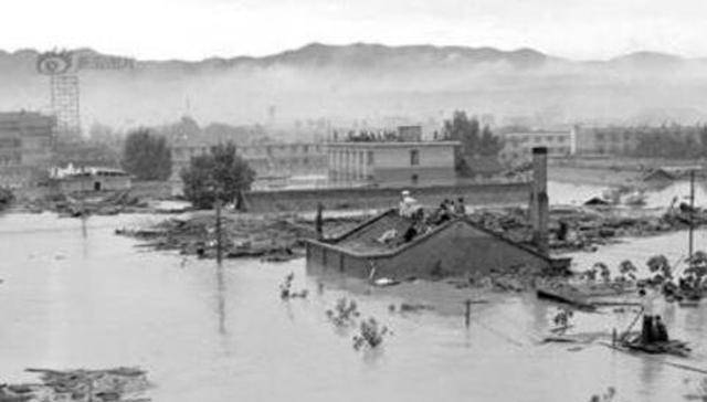 1983年安康蛇灾是怎么回事其实是假的蛇都是放生的