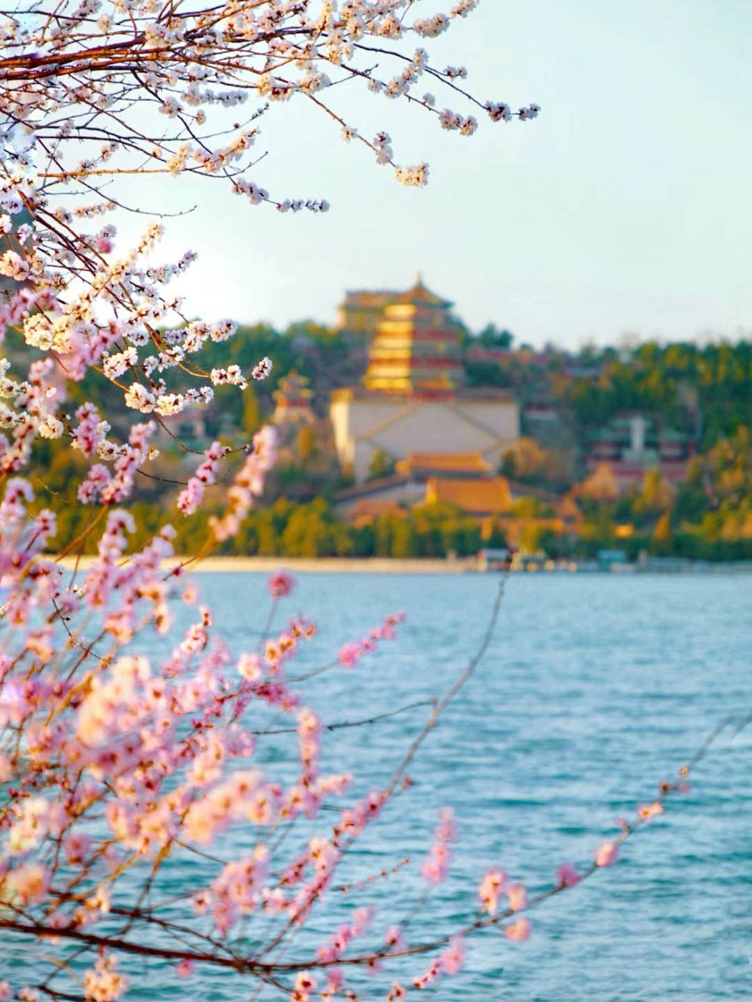 来北京游玩想找靠谱导游讲解北京找导游一天多少钱如何省心看完就懂了