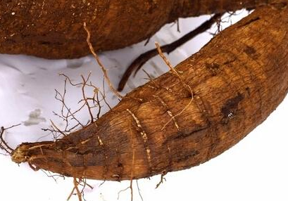 原创葛根是一种常见的补品功效非常多但是你知道它的副作用吗