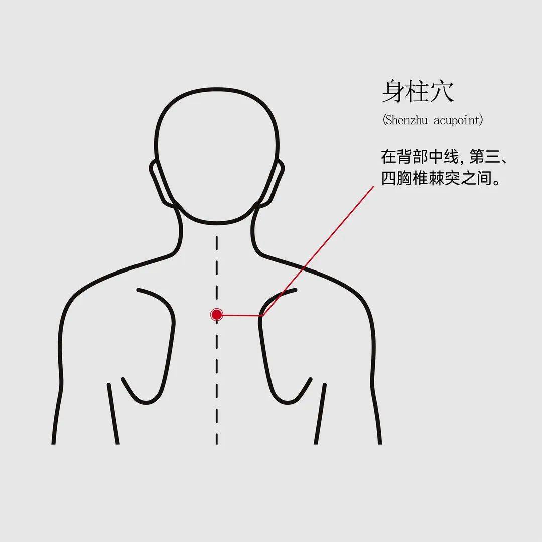 国家级非遗蕲春艾灸疗法代表性传承人韩善明老师