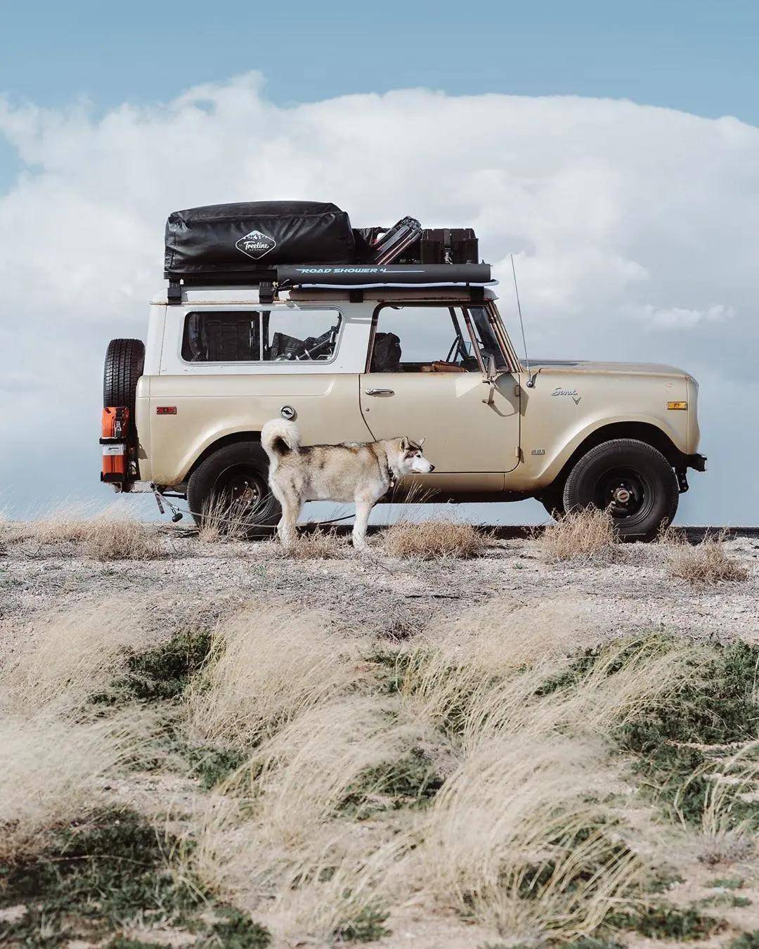 福特汽车在2019年4月15日向美国专利商标局申请了"scout"和"bronco