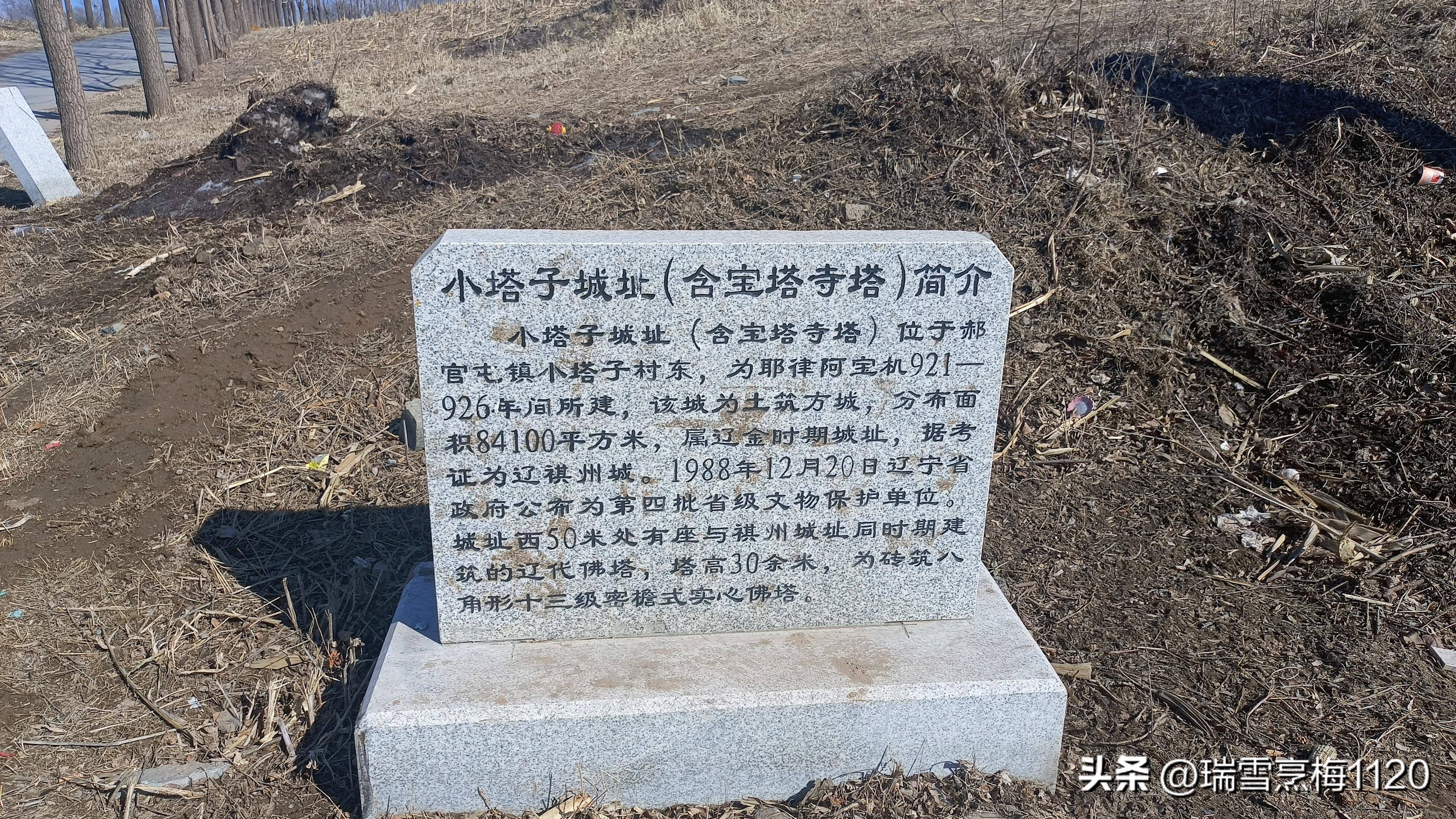 四平市小塔子村规划图片