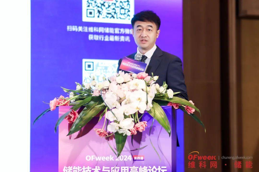 群英荟萃ofweek2024储能技术与应用高峰论坛成功举办