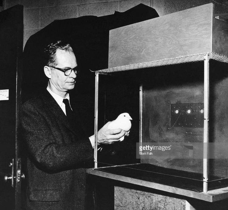 他把一群鸽子关在一个笼子里,然后用一个机关喂食物,刚开始的时候