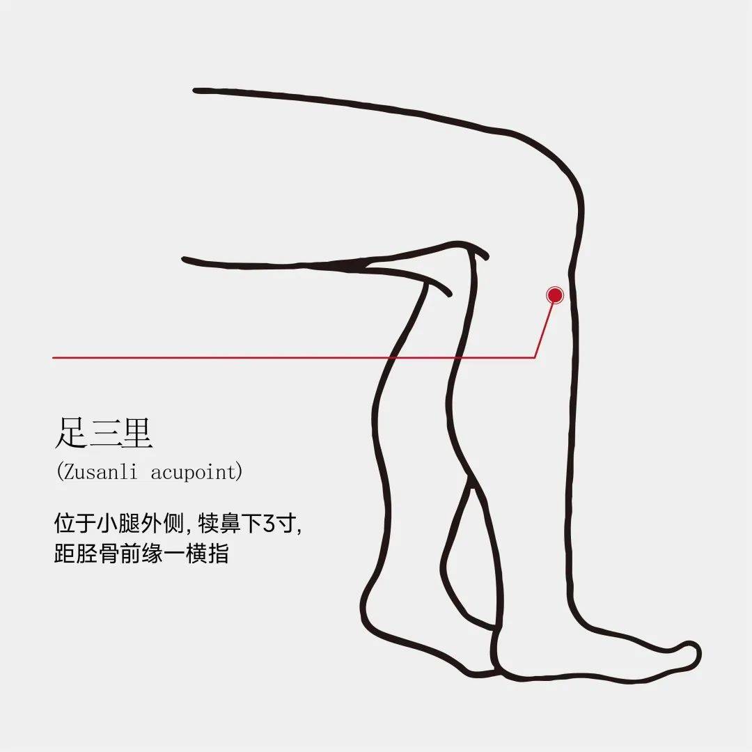 大腿窝的位置示意图图片