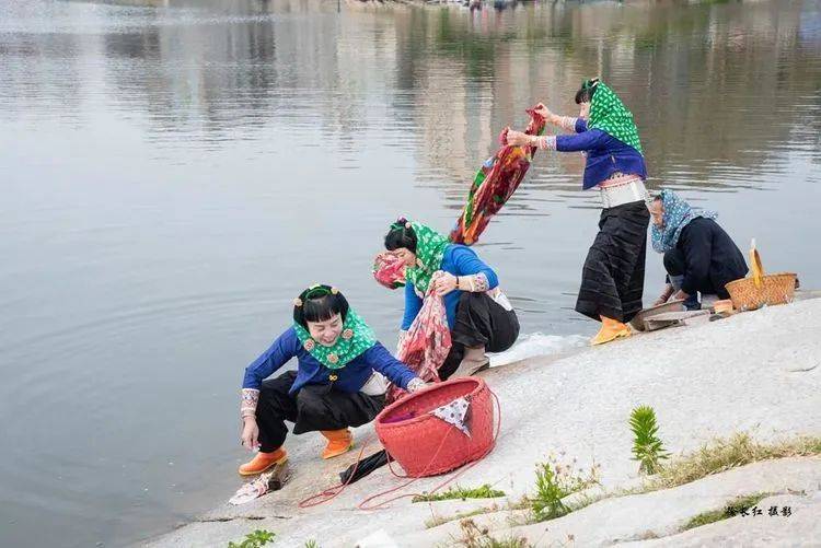 百年非遗霞浦妈祖走水江南丽水惠安女浔埔女人白颈长尾雉白鹇拍鸟摄影