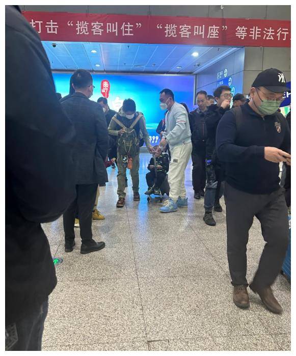 撒贝宁独自带双胞胎飞机上前背后包孩儿贤良敬孝