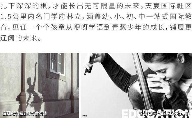 周边学校:公立教育,闵行实验小学和上中教育集团直属的九年制公立学校