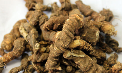 它是胃酸的"克星",用它泡水喝,反酸烧心的胃炎能去根儿_黄连_吴茱萸