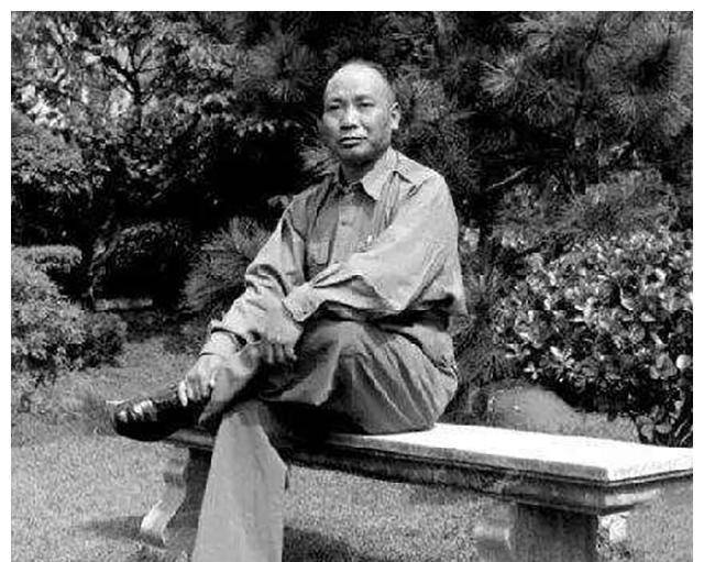 抗战_敌军_将军