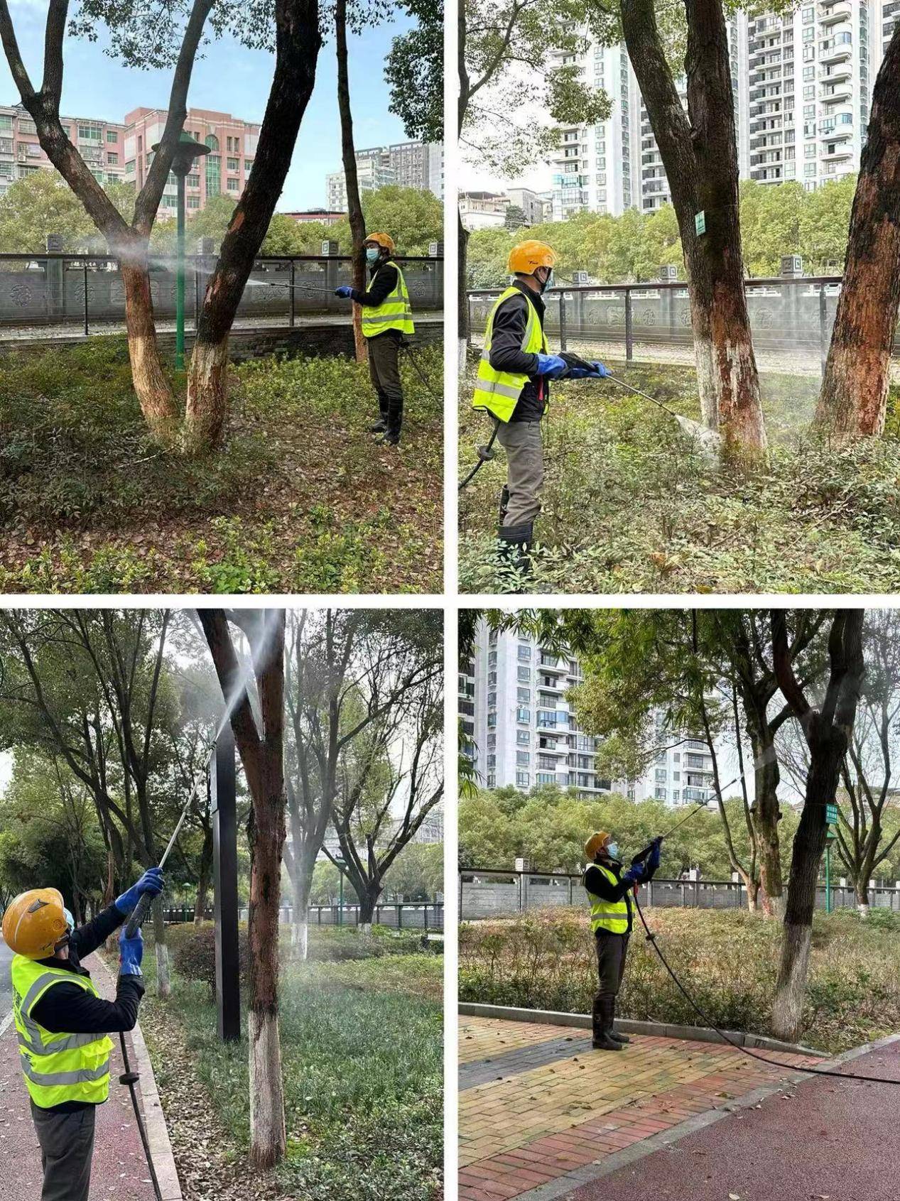 白蚁防治守护绿色家园