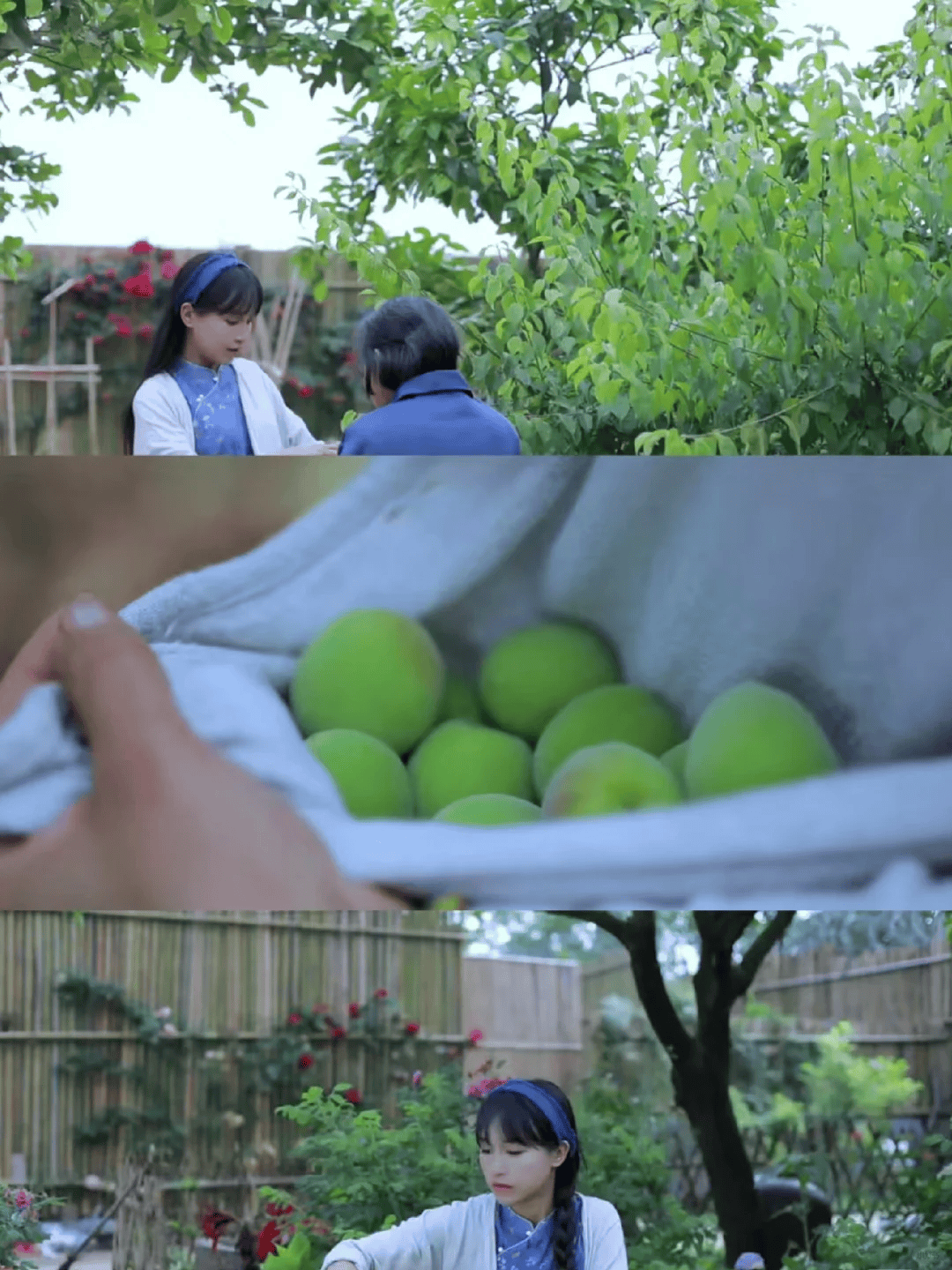 断更3年再看李子柒的视频我才发现那个仙境是照骗