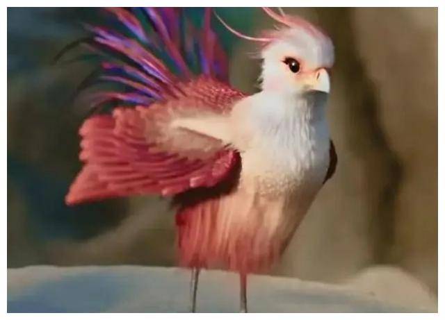 小凤凰搞怪表情包背后的文化现象隐患与热潮火爆