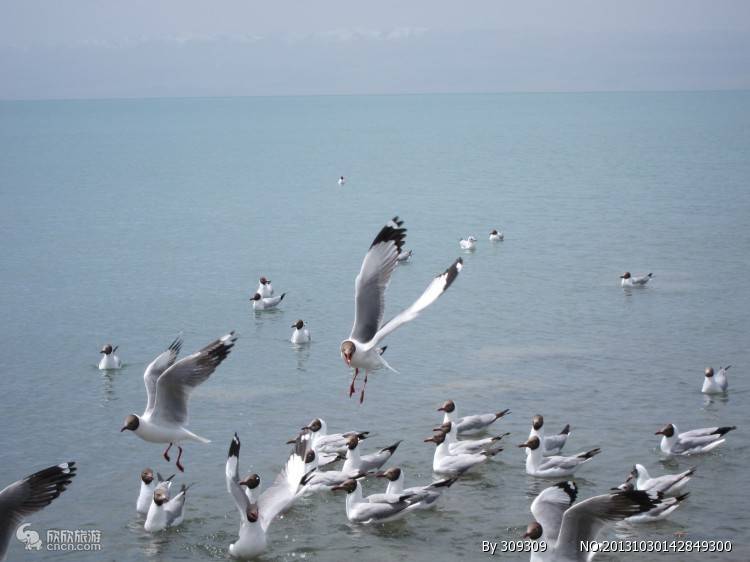 青海西北谣旅行社_【青海西北环线游地图】