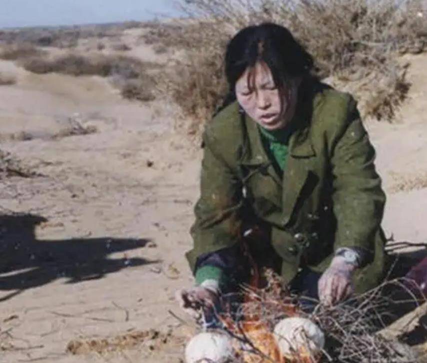 1985年,陕西女孩嫁到沙漠,几次逃离未果,15年后国家为她颁奖_殷玉珍