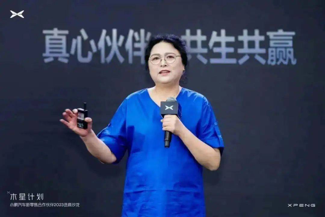 激荡变法一年小鹏左右突围