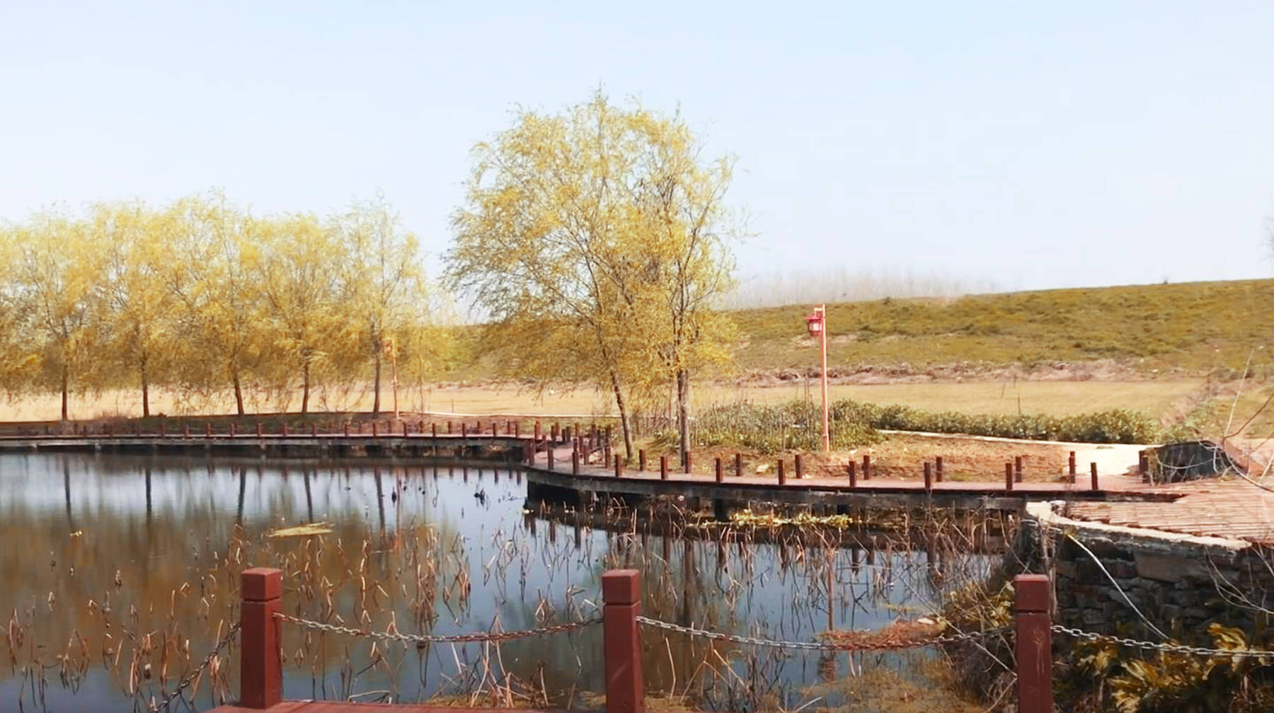 原创武汉新洲郊区有座美丽村湾改造的民房很时尚随拍镜头像油画