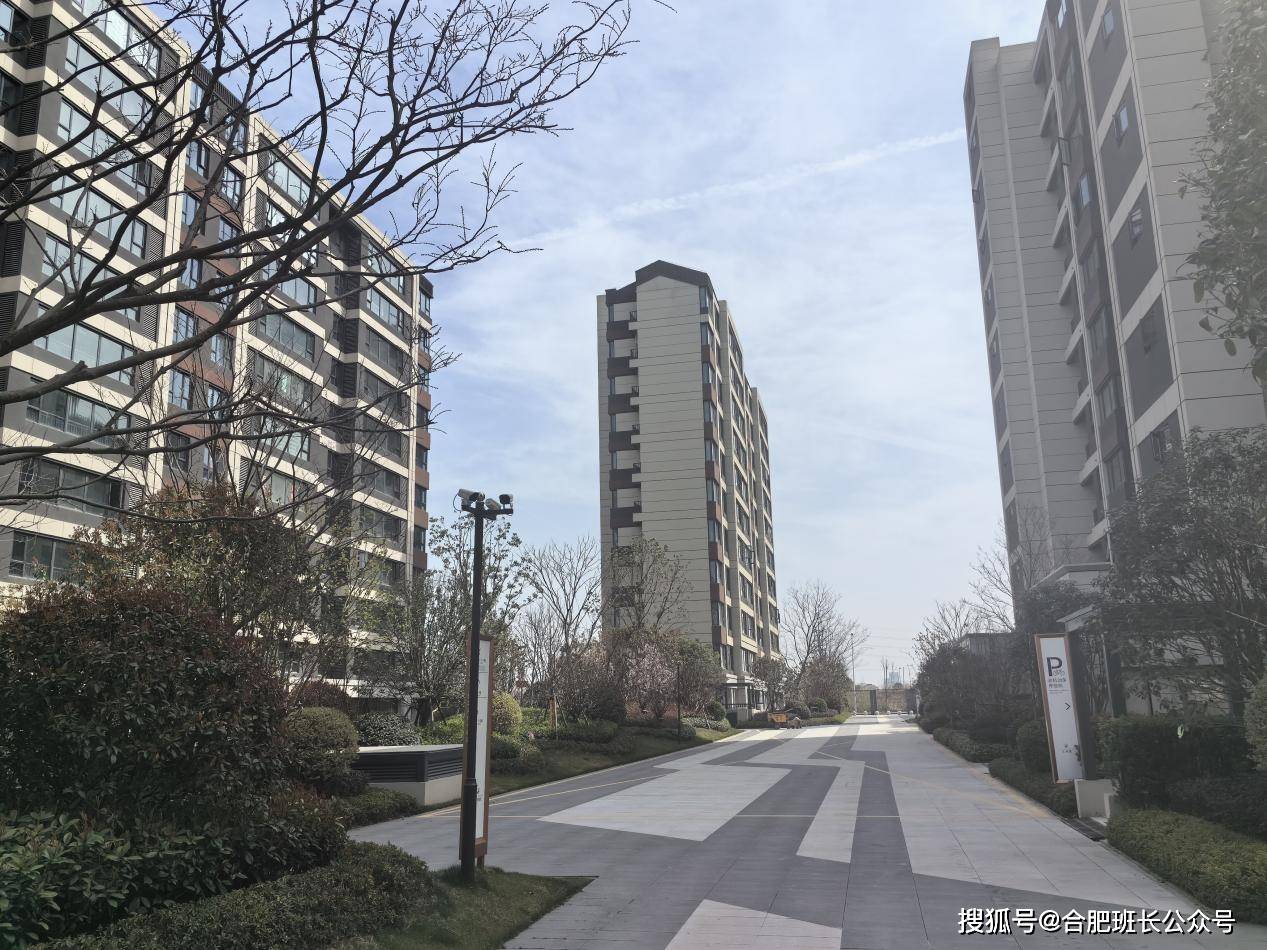 合肥首个公证摇号楼盘实探运河新城的上坤云栖麓