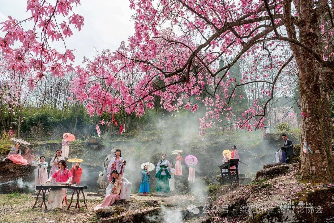 绵阳市生态摄影协会应邀参加2024年药王谷第十五届辛夷花节