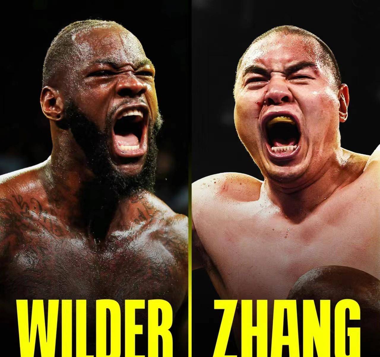 两大推广人正式回应,拳迷有点失望_沃伦_赫恩_角逐