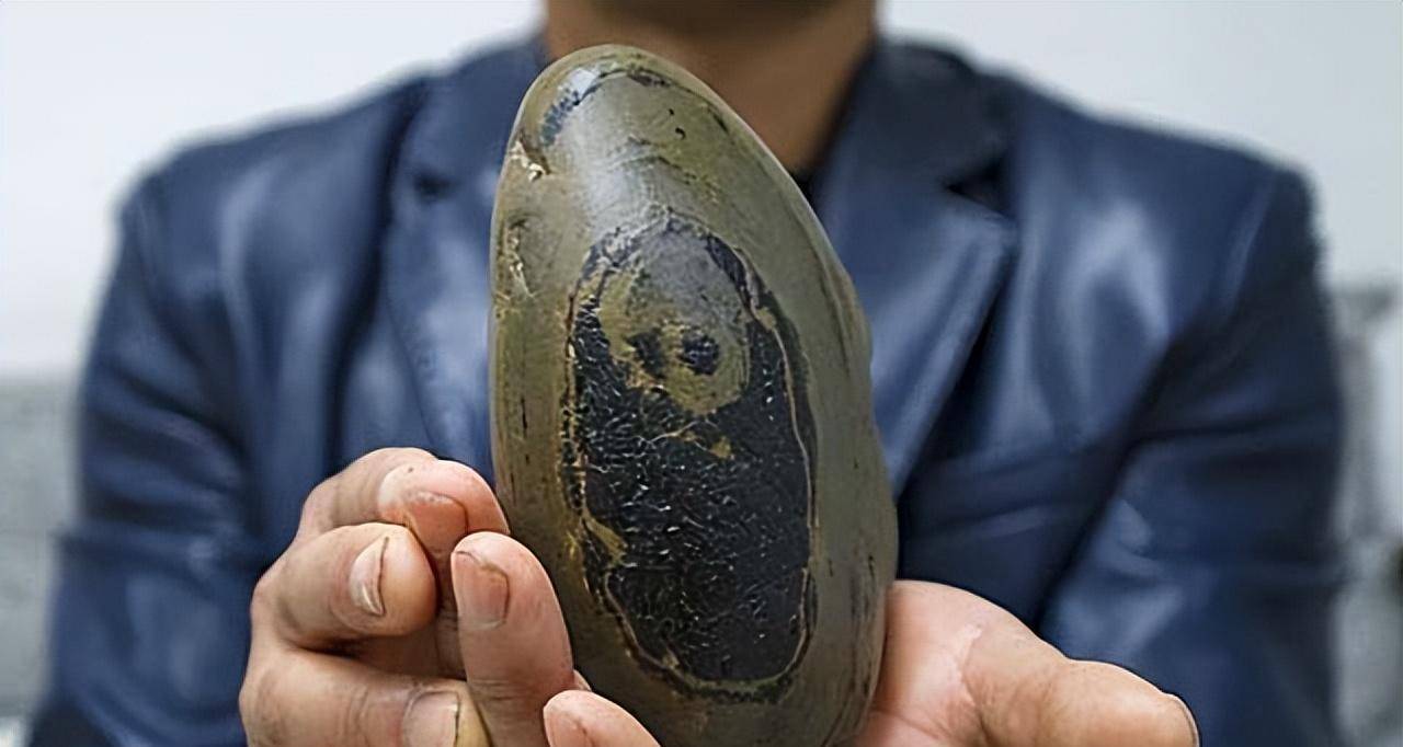 原创03年青岛大哥捡到熊猫奇石有人出价百万也不卖专家估值1亿