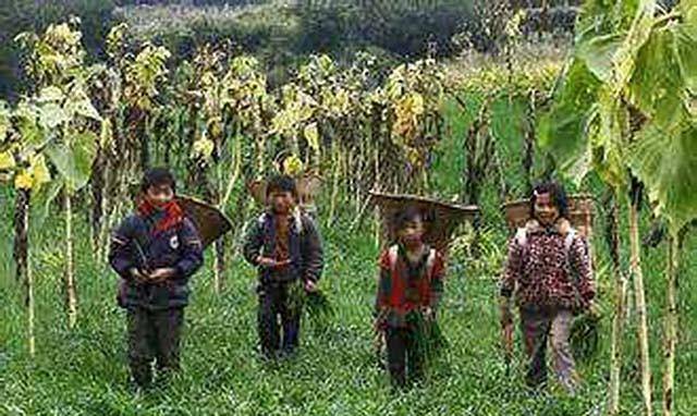 开锅",然而就算如此,马俊仁的父母还是认为他是家里八个孩子中最聪明