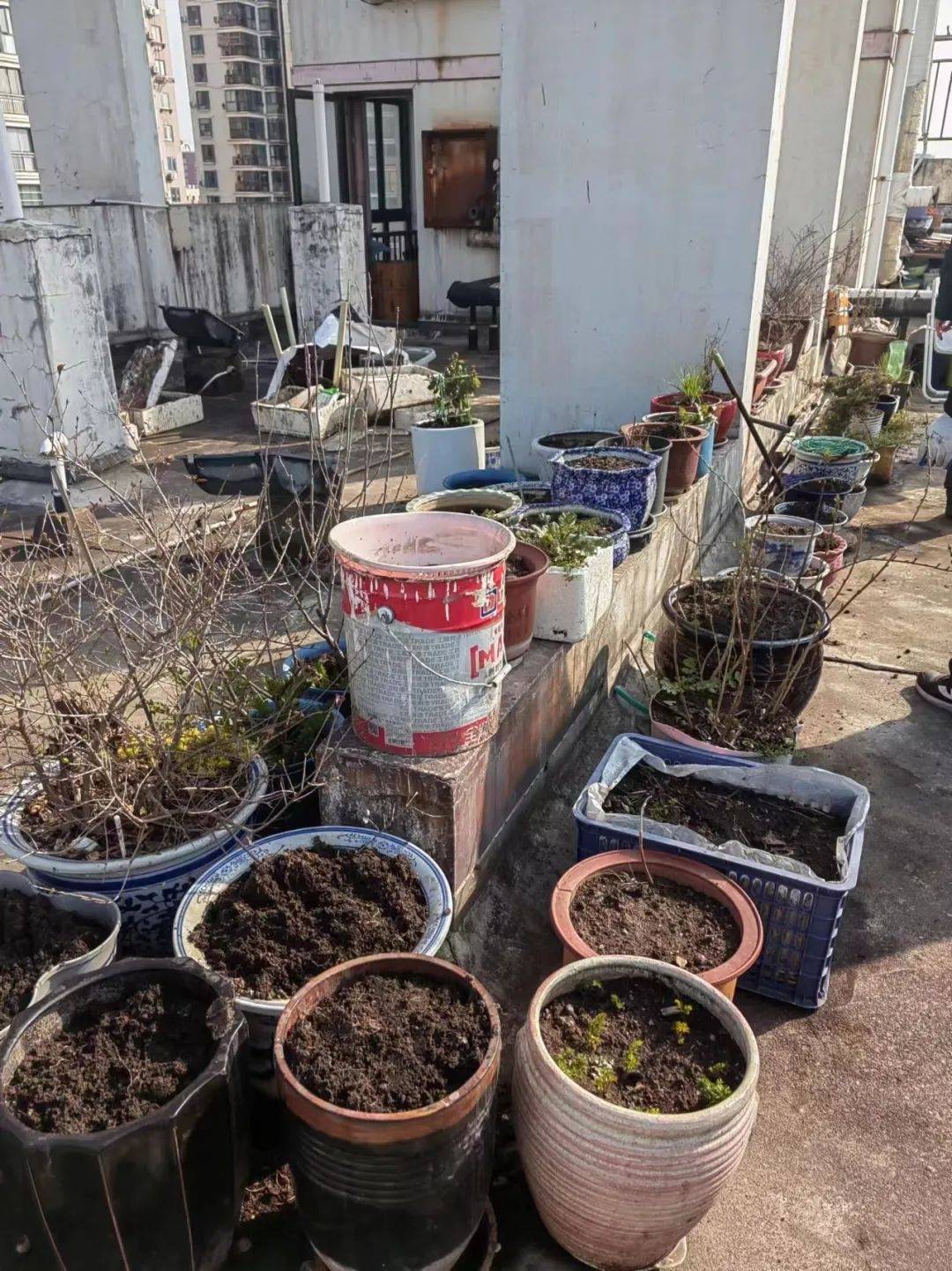 楼顶堆物近2吨清理