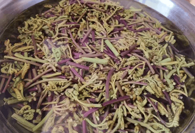 清明前后这种野菜正当季农村随地可见蕨有营养别错过