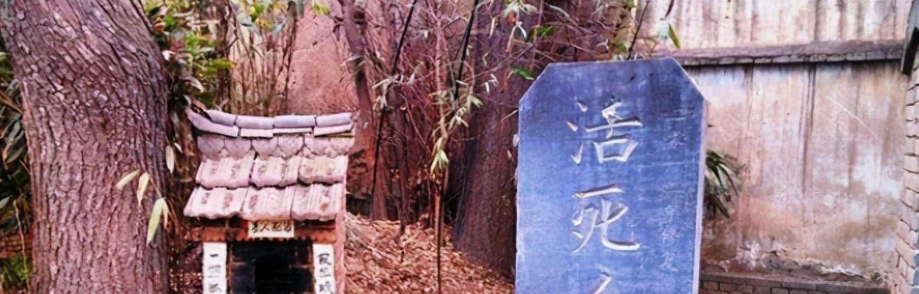 原创92岁梁富生丧妻丧子悲痛欲绝14年花26万建机关重重活人墓