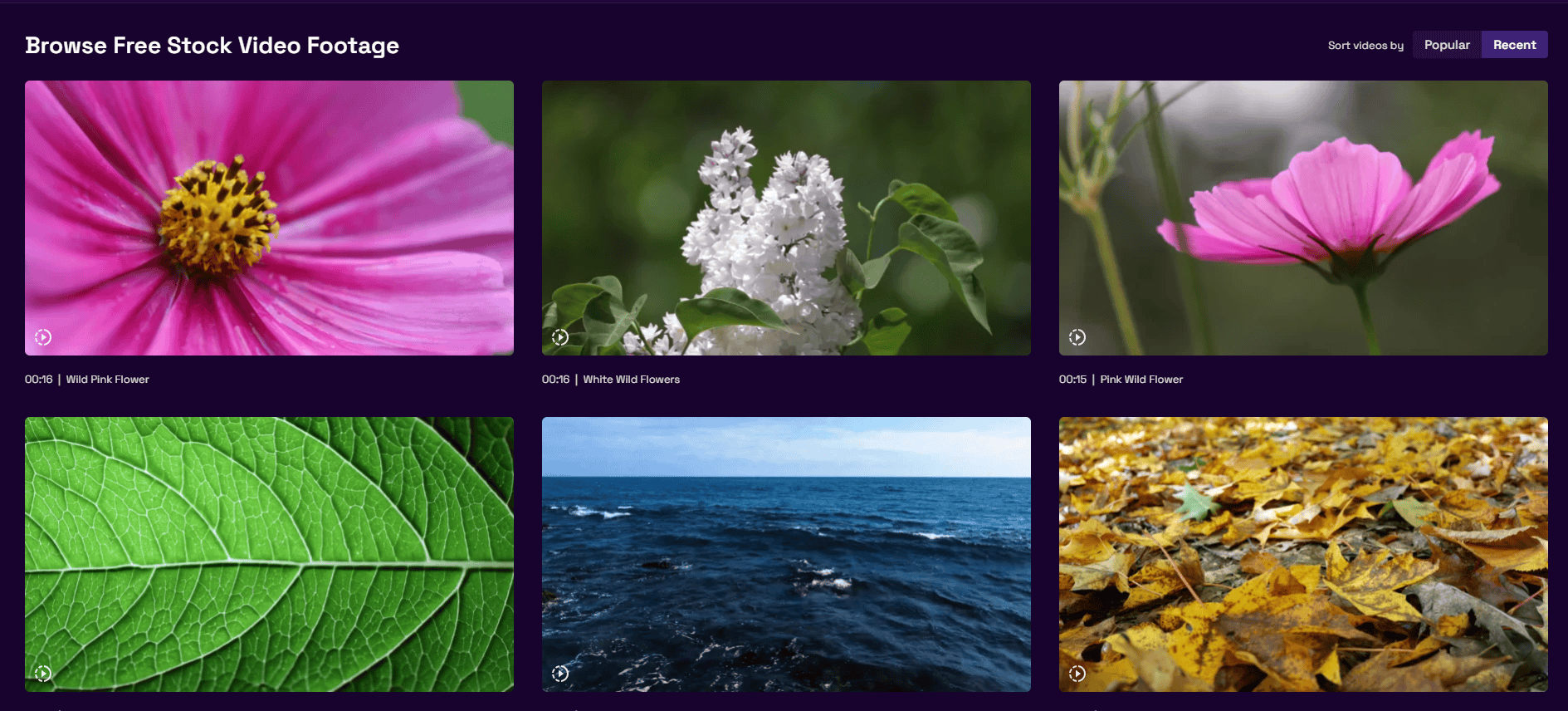 视频创作无水印高清素材网站_免费高清视频素材无水印_免费4K高清视频素材平台