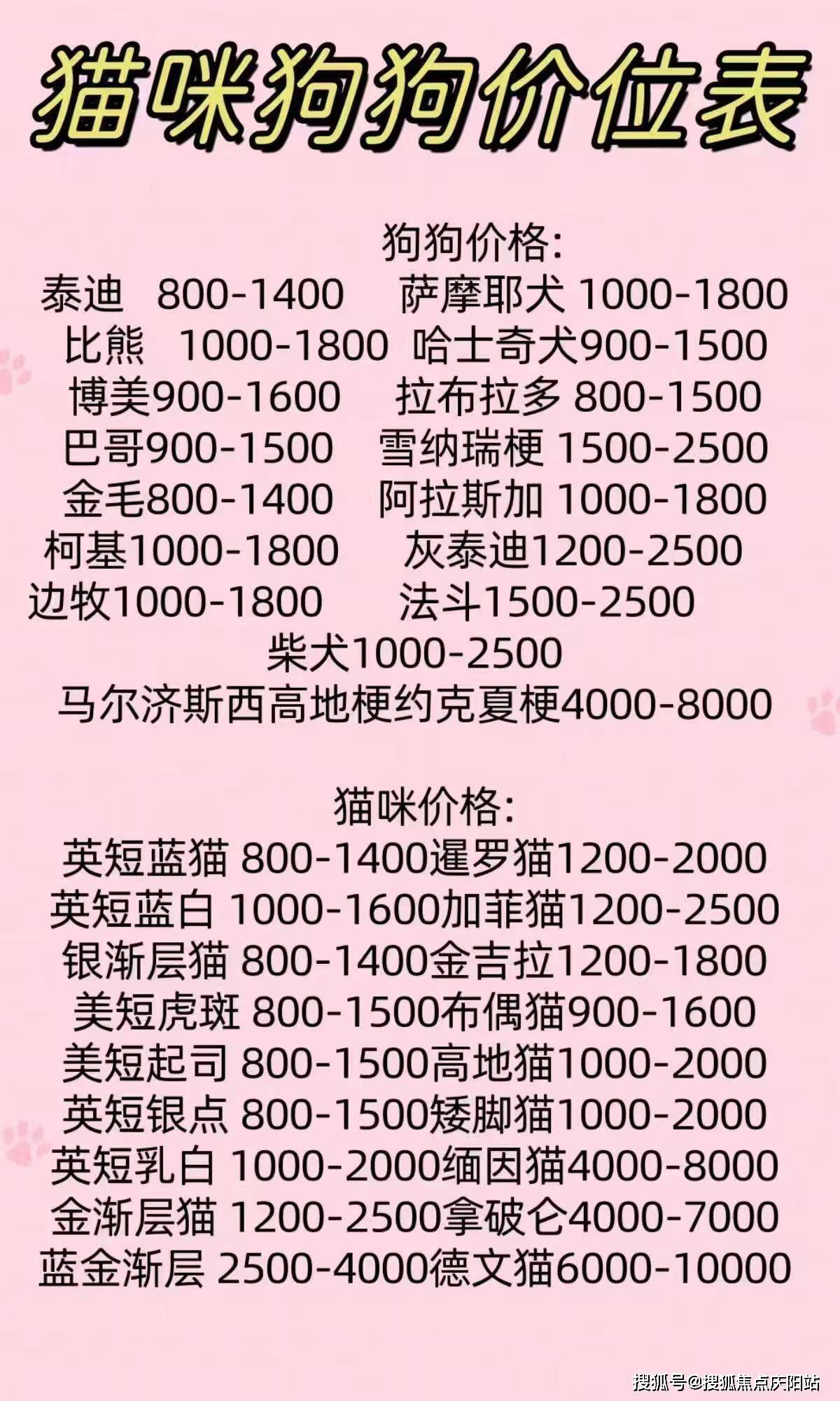 嘉兴卖宠物首页网站(嘉兴哪里卖宠物猫狗的选择性多)首页网站 丨卖