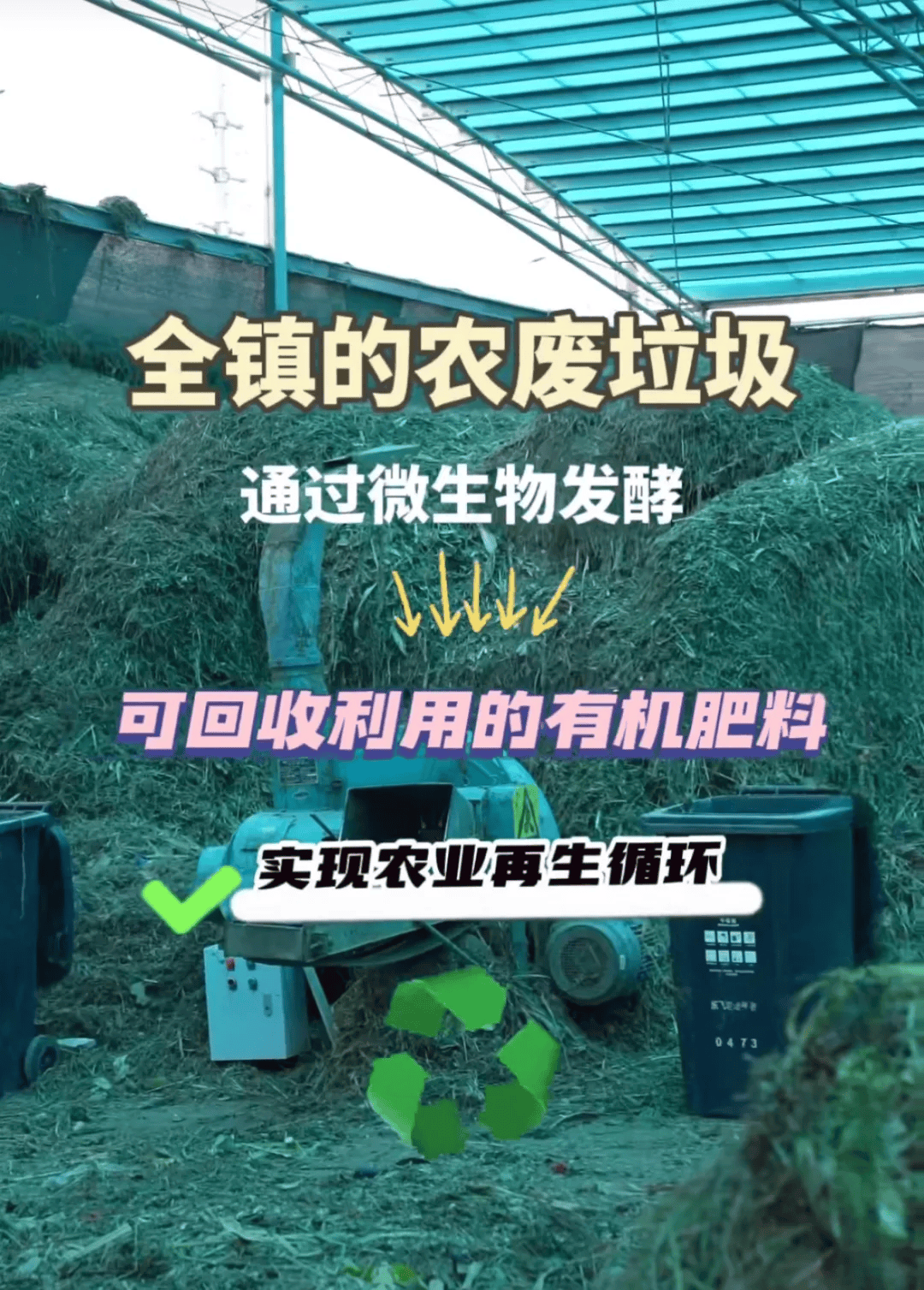 上海老港镇农业资源循环应用基地最新动态
