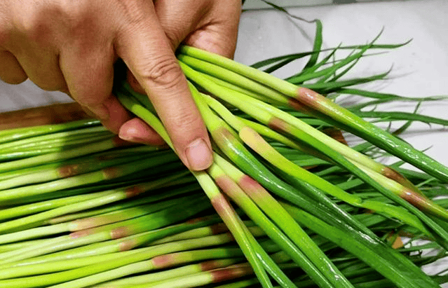 春天买蒜苔,要分清"白帽"和"红帽",差别真不小,弄懂了