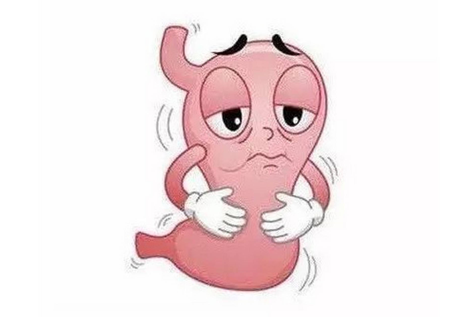 脾胃湿热的症状有哪些