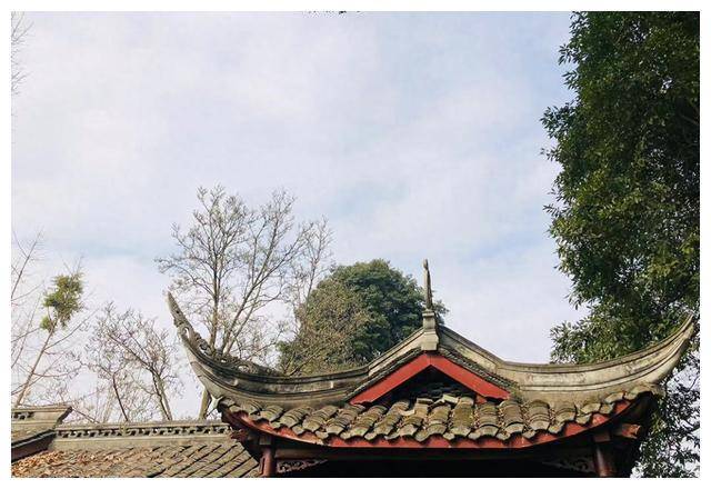 当然啦,也有失败的例子,比如鹿晗多次落榜,北大