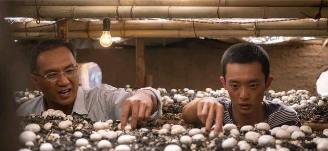 原创《山海情》:从叛逆少年到种植高手,马得宝吃的苦没有浪费_尕娃