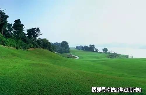 武汉联投梓山郡→售楼处电话→首页网站→楼盘详情→售楼中心→24小时