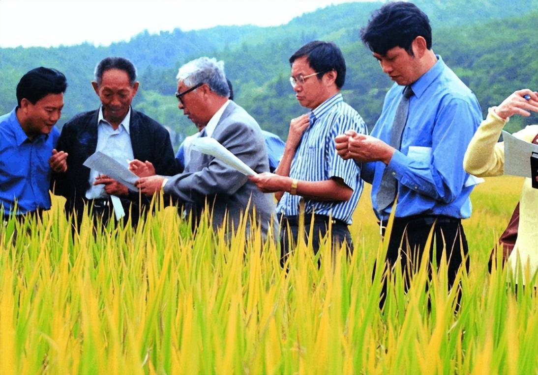 袁隆平_种植_中国