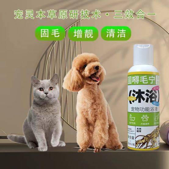 灵宠物图片