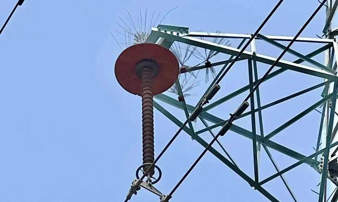 电网防鸟设备真驱鸟复合绝缘防鸟罩既保护鸟类又保护线路