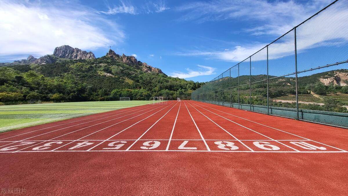 揭秘塑胶跑道:材料背后的科技奥秘_运动_橡胶_工艺
