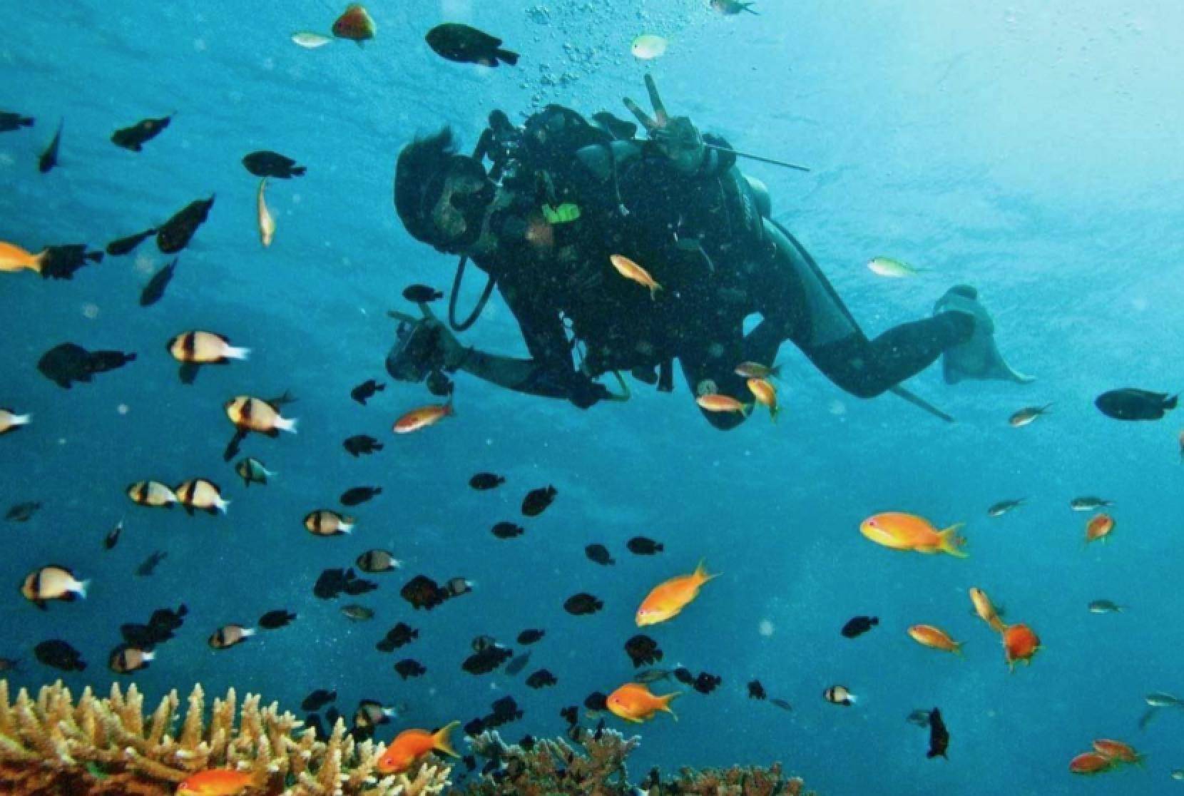 若是第一次见肯定会被它的样貌给吓到,但长相不佳的鹅颈藤壶对海域