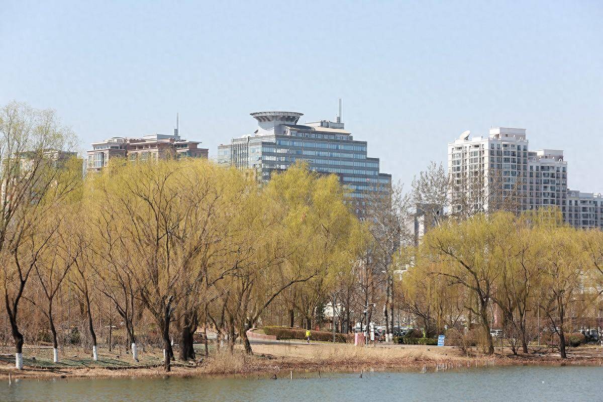 一镜走天下春天休闲漫步北京朝阳公园的惊喜