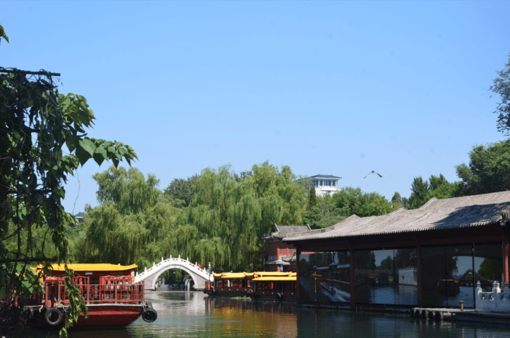 长河观柳!北京这条游船航线开航