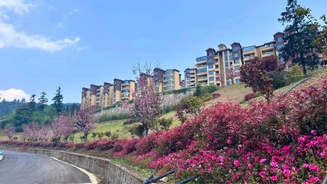 渝黔交界的江津东胜@凤凰绿洲避暑房位于渝南黔北凤凰山,占地2700亩