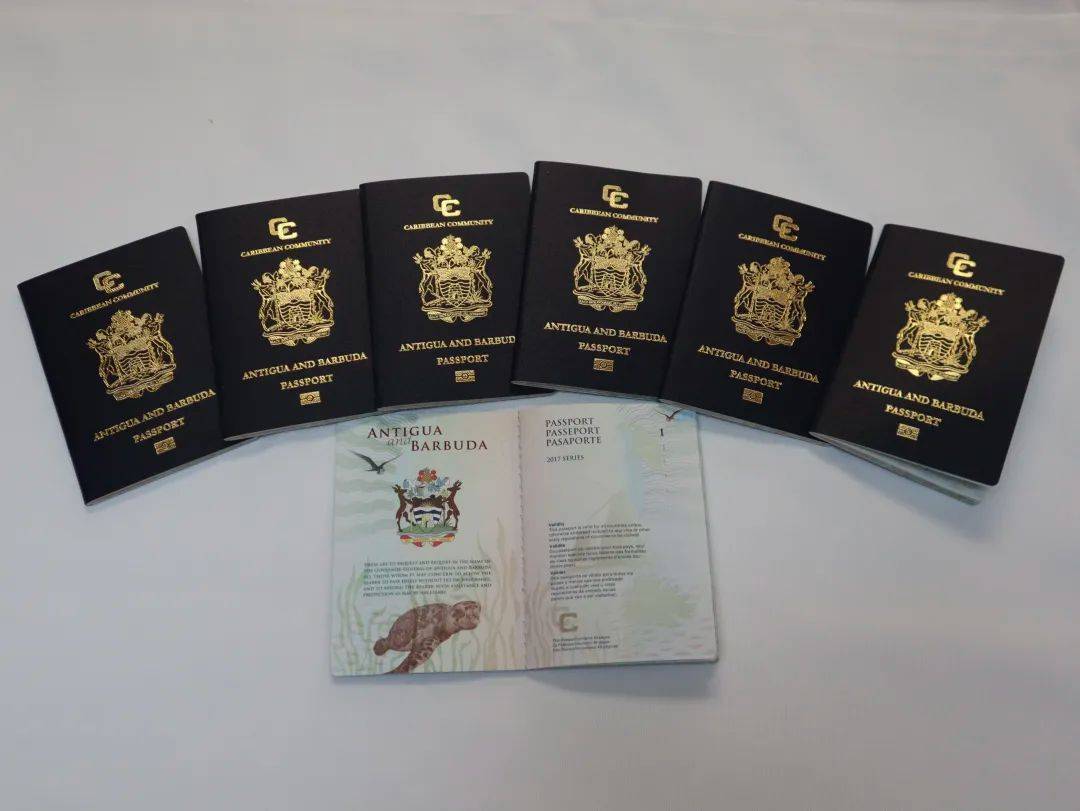 圣基茨和尼维斯:25万美元起格林纳达:15万美元起多米尼克:10万美元起