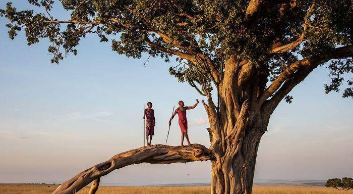 角马的大迁徙,彭妮61赫吉,自然火灾中的大象,《自然》杂志,格雷格